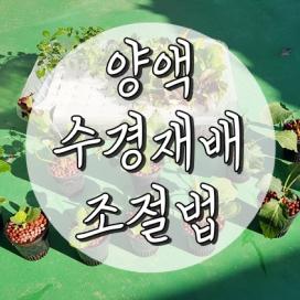 수경재배 양액/영양제 조절은 어떻게?