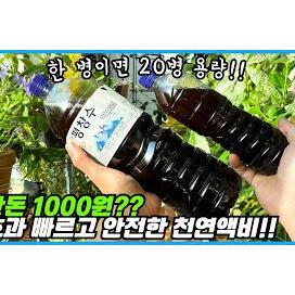 해외에서 난리난 천원짜리 물!! 식물 폭풍성장의 숨은 비밀!!