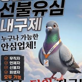 탤그 @simg99 비둘기 통신 선불유심매입업체 개인선불폰유심삽니다