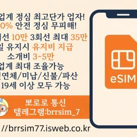 @brrsim_7텔레그램 선불유심내구제 뽀로로통신 선불유심매입 급전 주부소액내구제추천 선불유심개통매입 저신용자비상금소액급전 선불유심구매